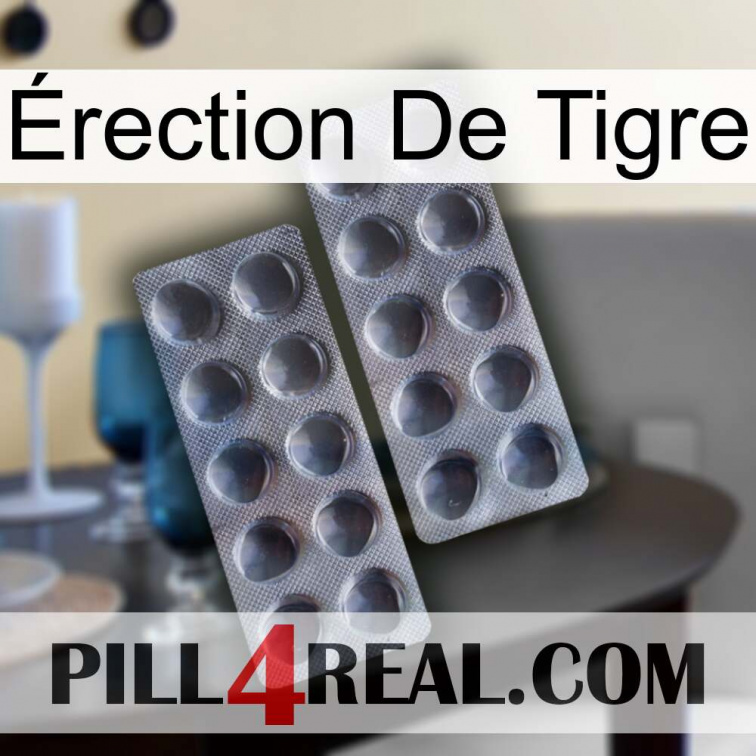 Érection De Tigre 31